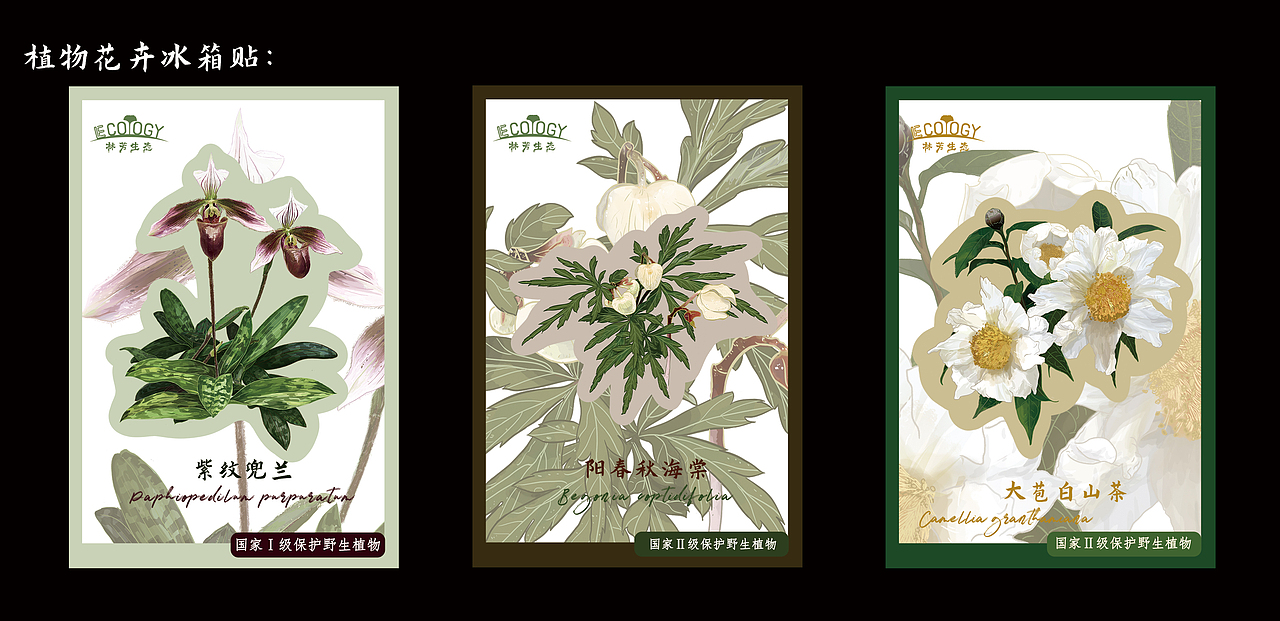 插画文创周边——植物篇（图ZMzAzNDQzMjIw） - 品牌 - 站酷设计师懒九五原创素材 - 站酷ZCOOL