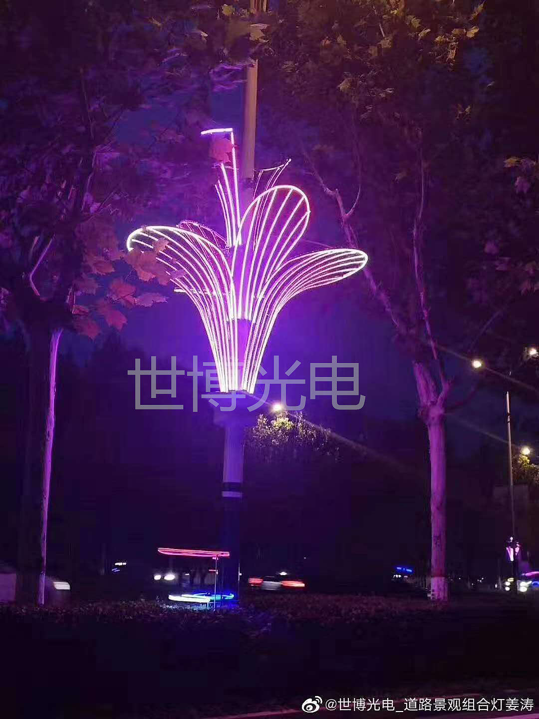 世博 LED灯杆造型变色景观装饰灯节日灯挂件厂家定制（图ZMjk5MjgzNjQ0） - 环境/建筑摄影 - 站酷设计师世博光电景观灯原创素材 - 站酷ZCOOL
