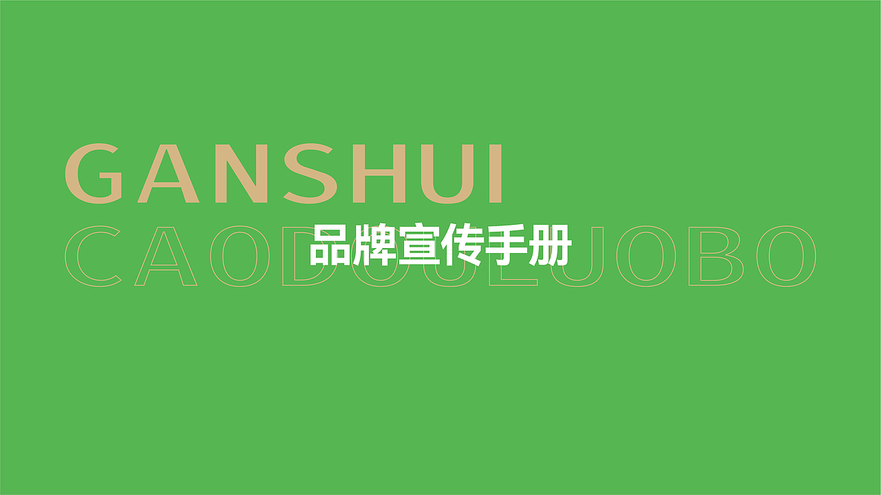 綦江赶水萝卜品牌全案策划