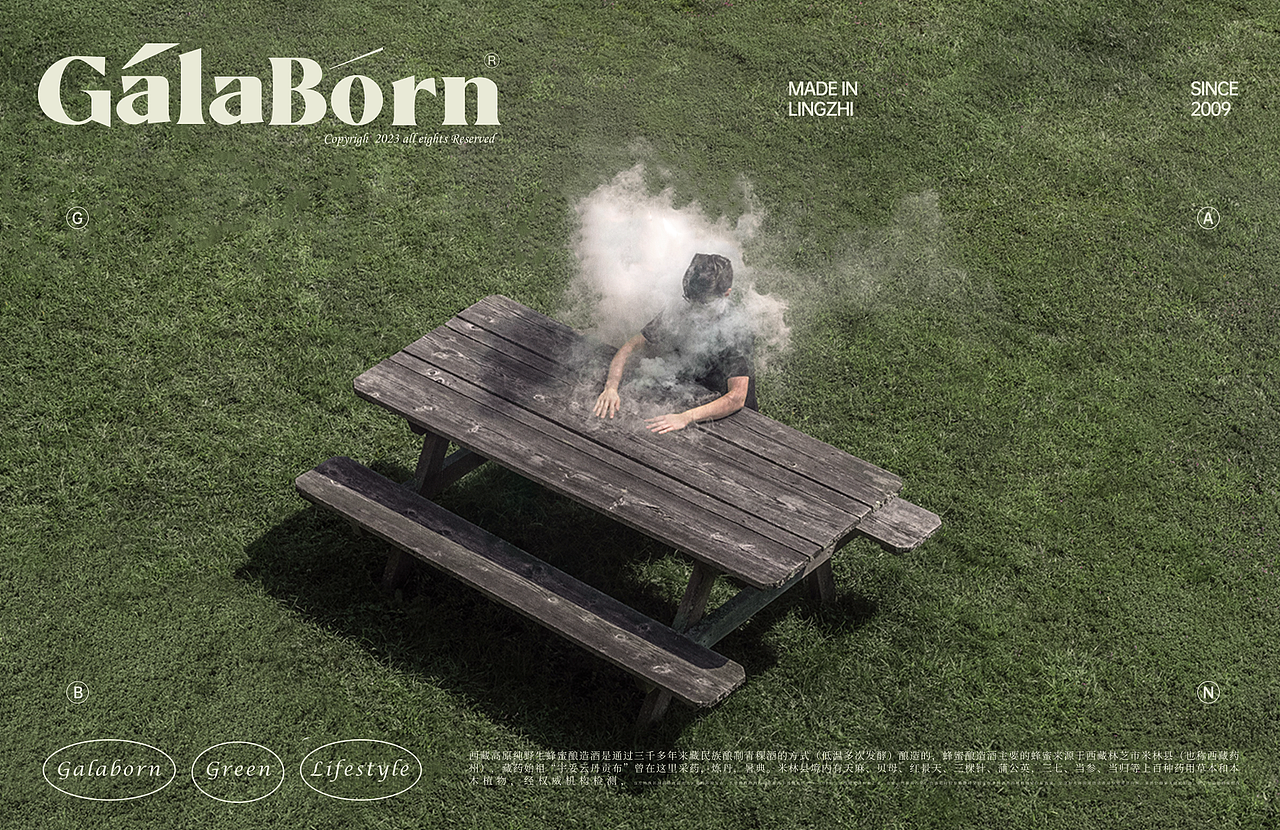 3.英文规范 |GALABORN品牌识别手册（图ZMzM2MjMzMjg4） - 品牌 - 站酷设计师samsamsama原创素材 - 站酷ZCOOL