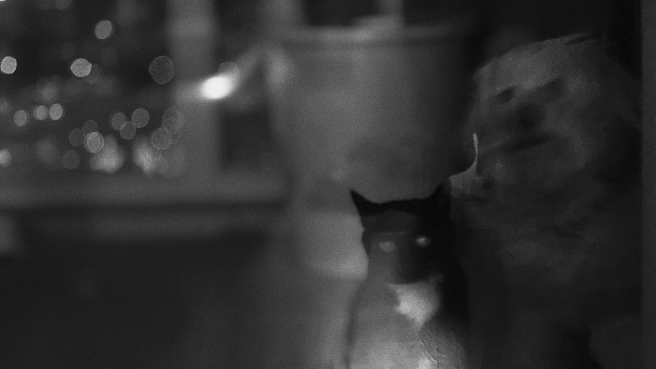 Shot on iPhone 13 Pro Max|手机摄影