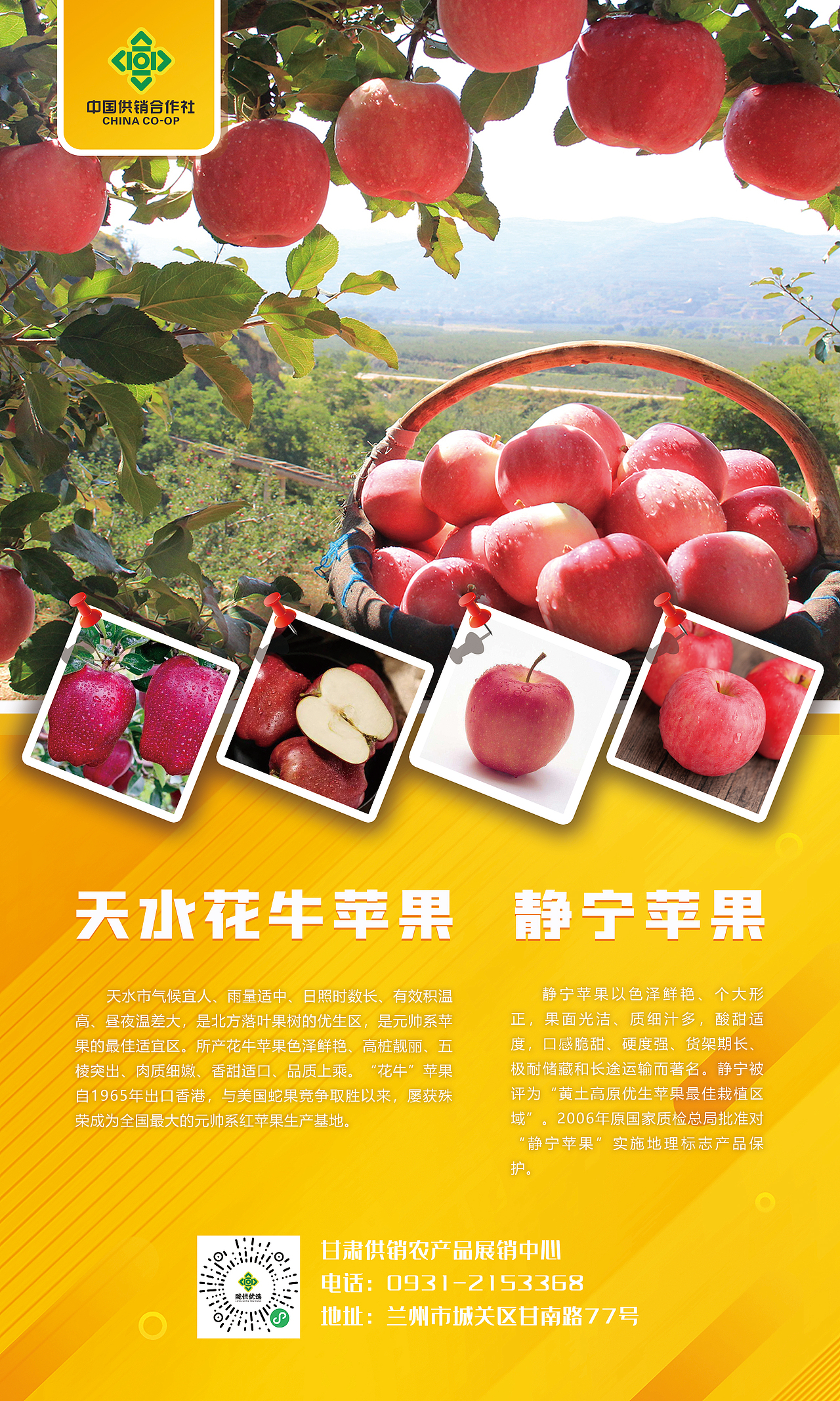 2023兰洽会（图ZMzQ5MTg5NzI0） - 宣传物料 - 站酷设计师小盒子成了精原创素材 - 站酷ZCOOL