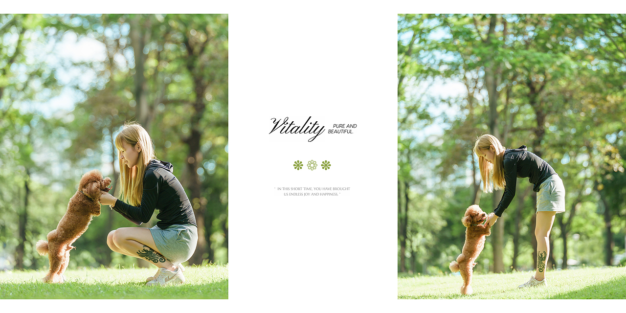 夏日治愈系人寵寫真（圖ZMzQ1ODQ2MzI4） - 寵物攝影 - 站酷設計師小樣攝影原創(chuàng)素材 - 站酷ZCOOL