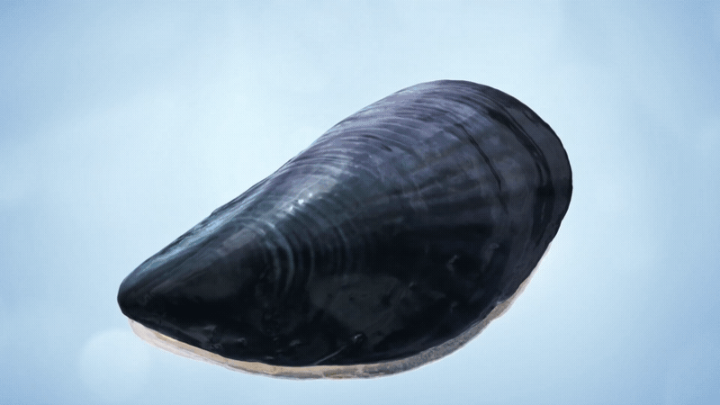 电商视频 | 安肌士 | 响马摄影