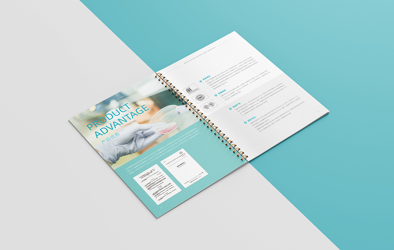 企业画册设计
