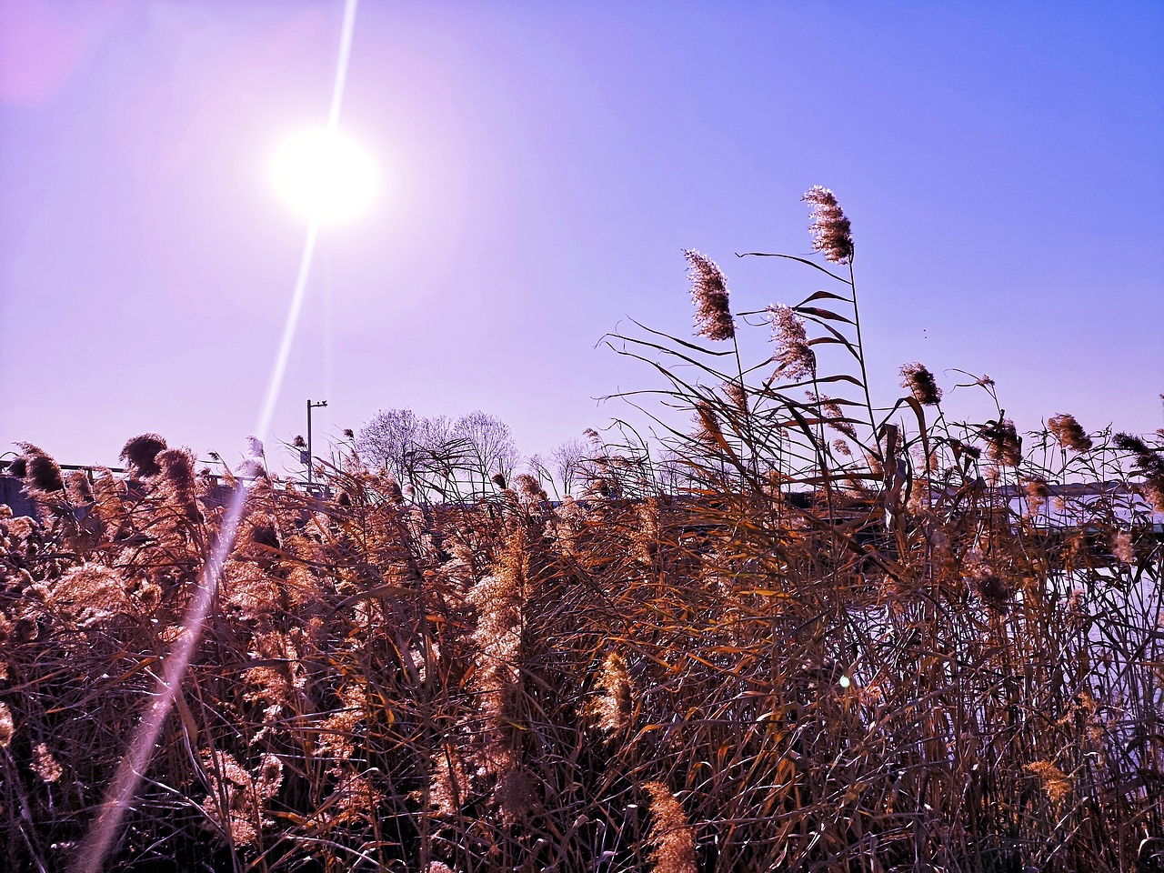 手机摄影 随拍~生活里的光~