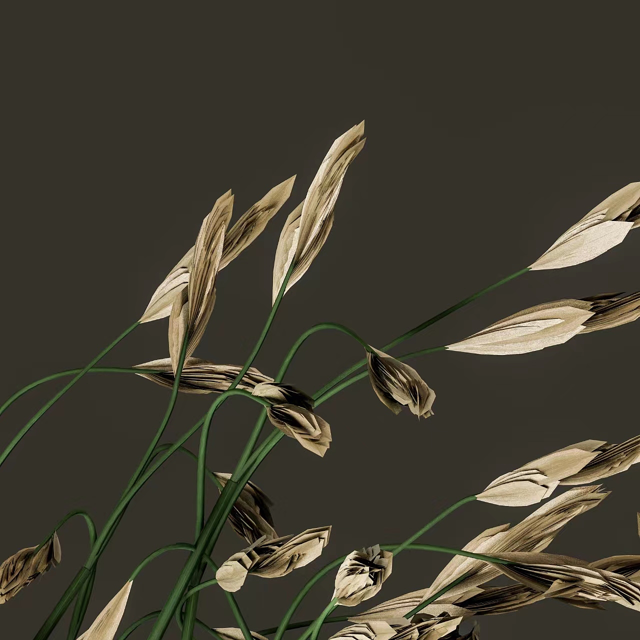 【娃紫Studio_训练案例】