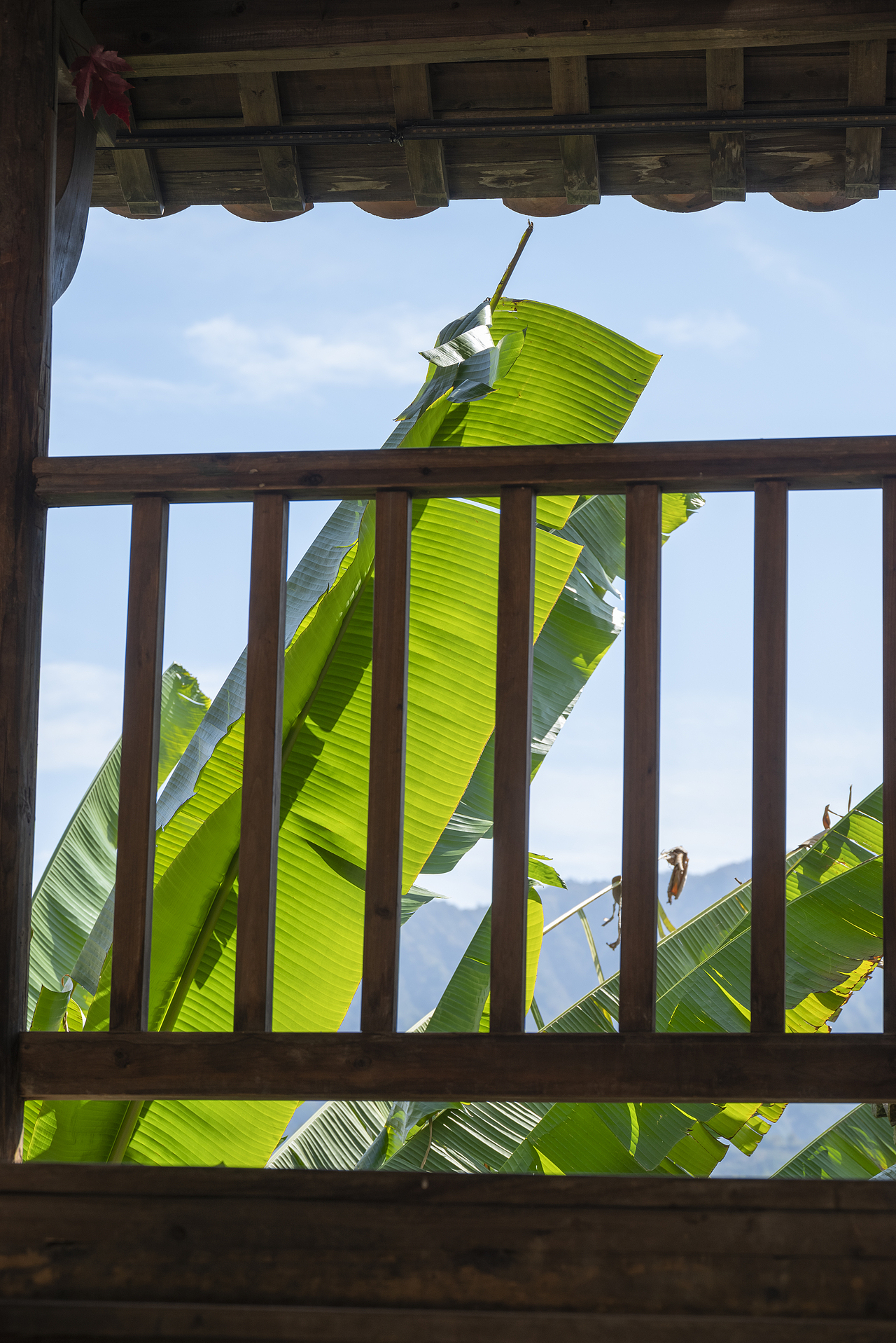 一个人的旅行-婺源篁岭（图ZMzIwNDU1ODQw） - 风光摄影 - 站酷设计师文艺田原创素材 - 站酷ZCOOL