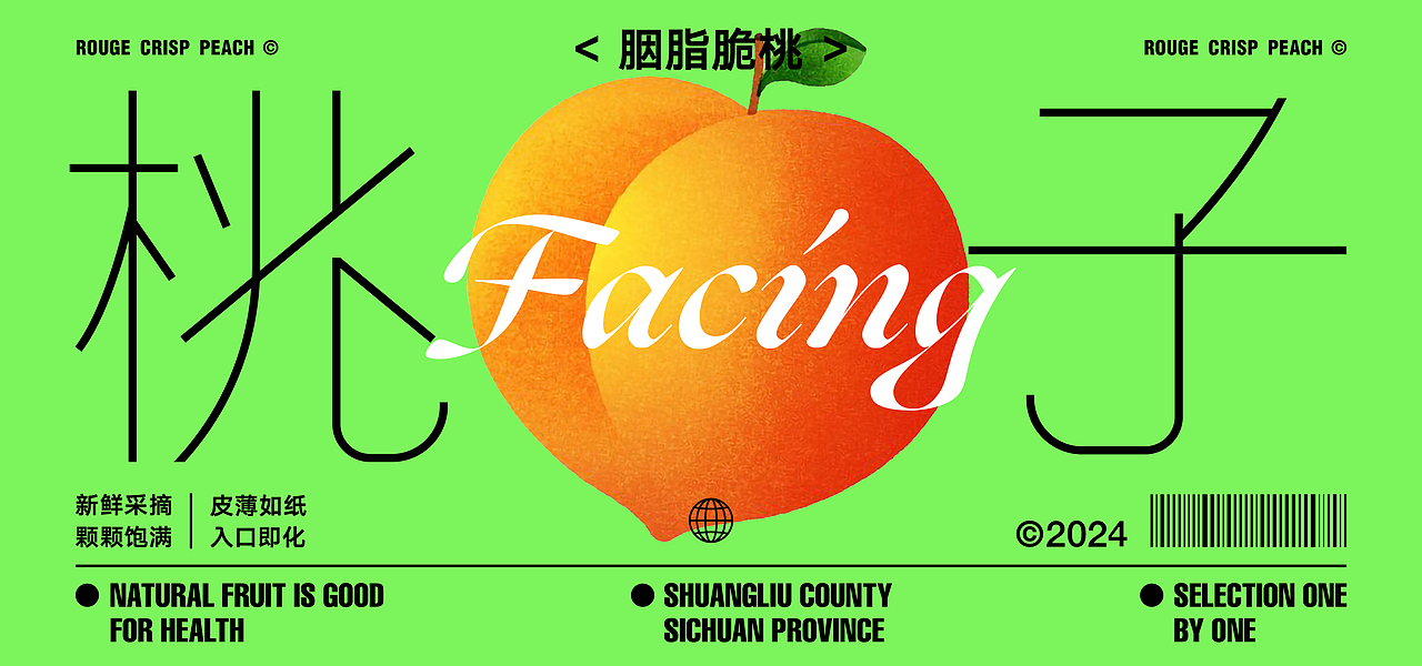 字体设计与版式丨Typography Vo.2