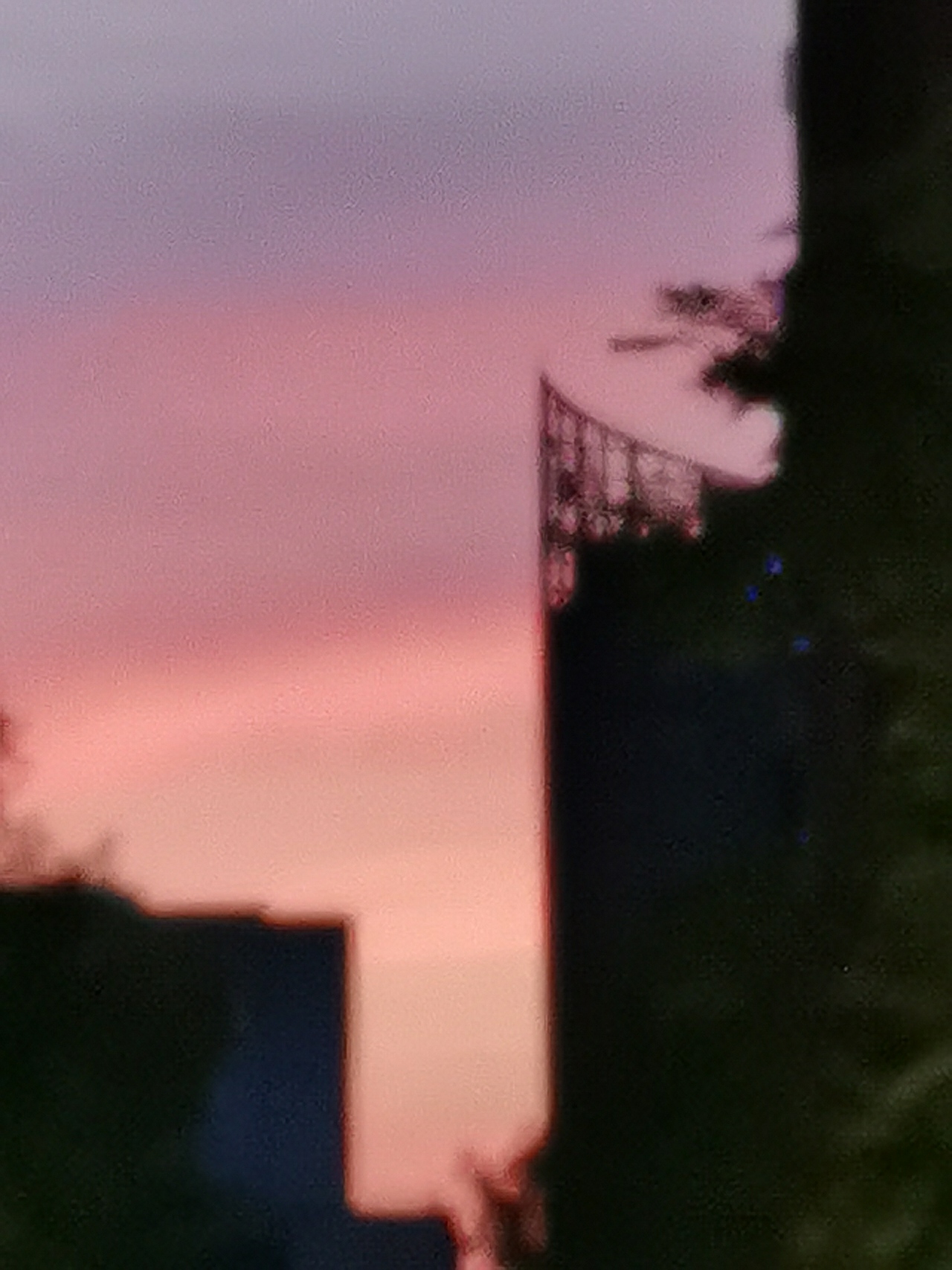 日 与月 与云 与草 与林 与山海 还有花