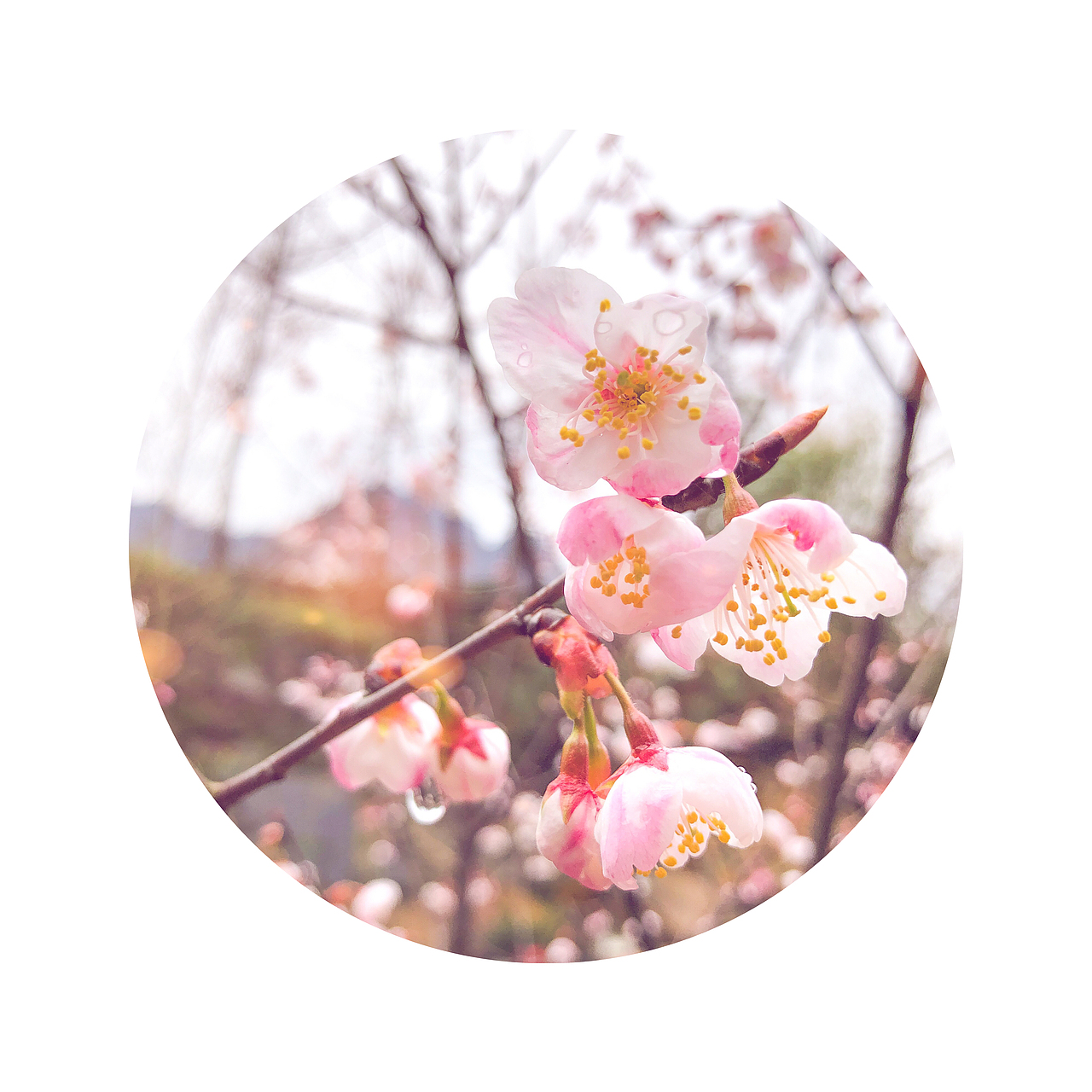 风光摄影学习（图ZMzU3MjEwMTI4） - 风光摄影 - 站酷设计师vipmlc97原创素材 - 站酷ZCOOL