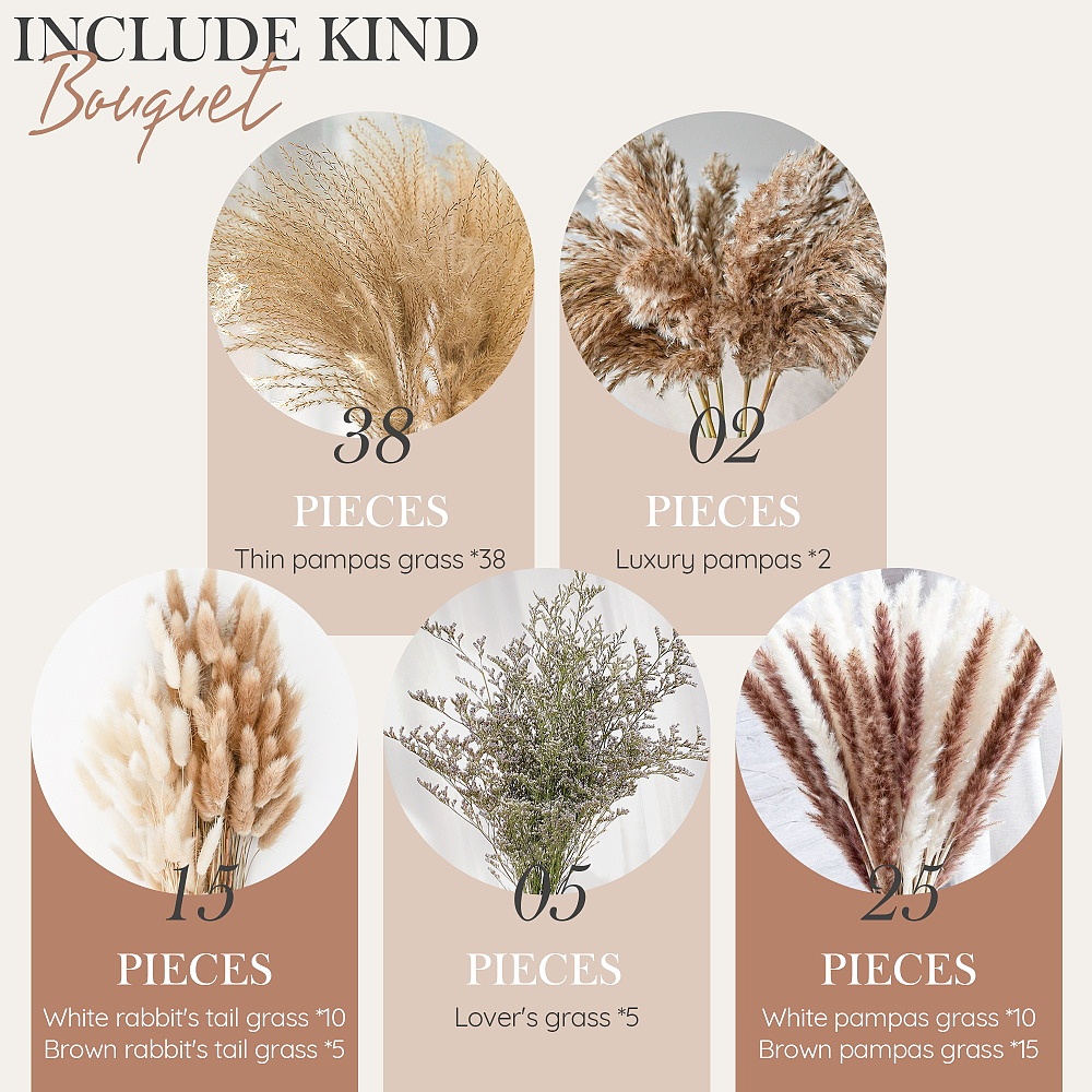 亚马逊 芦苇干花产品图片/A+