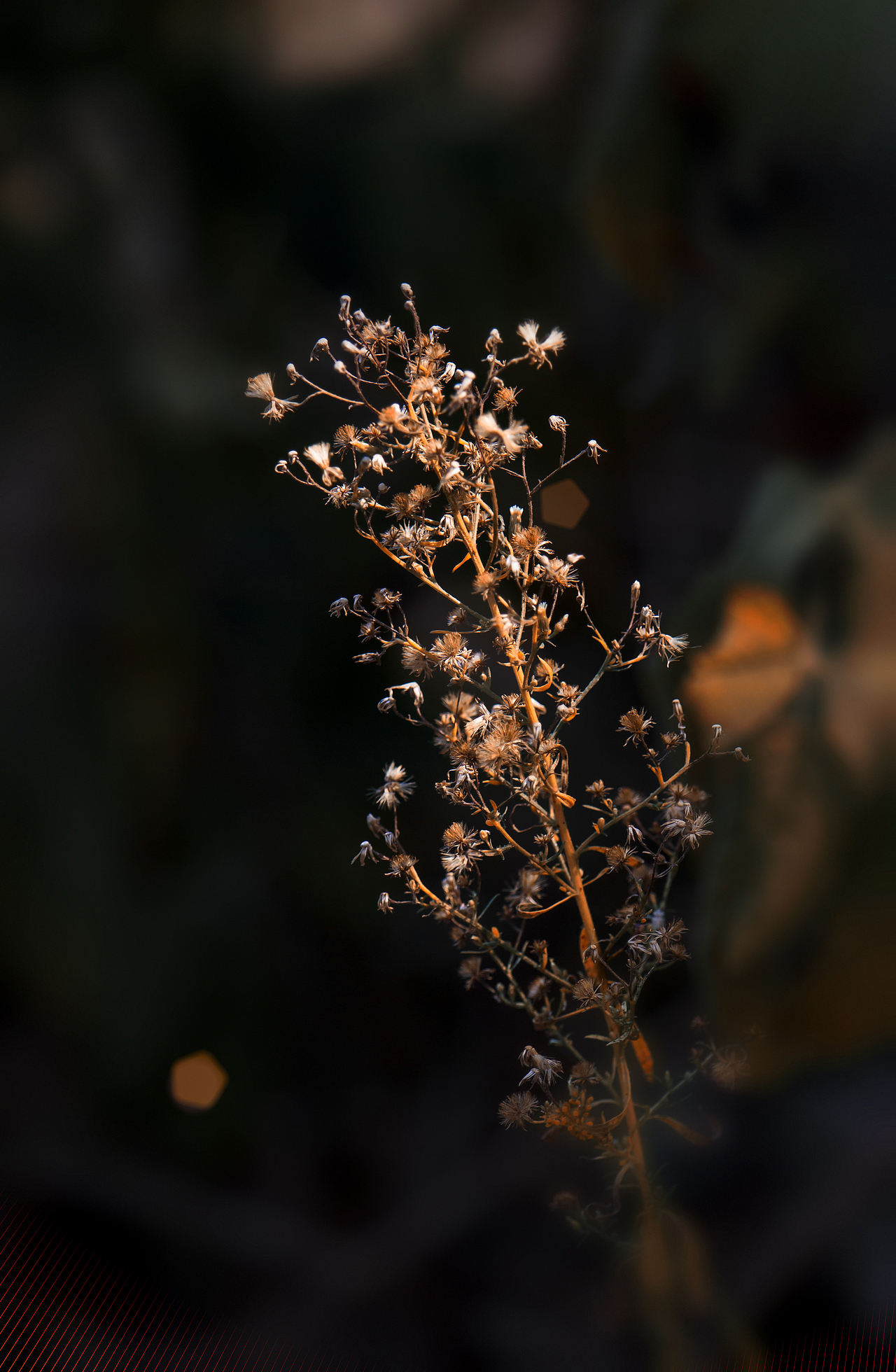 自然四季风光（图ZMzQ3NjEzMjYw） - 风光摄影 - 站酷设计师瀟殇原创素材 - 站酷ZCOOL