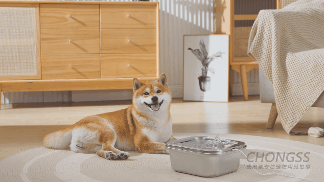 宠物产品摄影|宠叔叔  X  星际饮水机