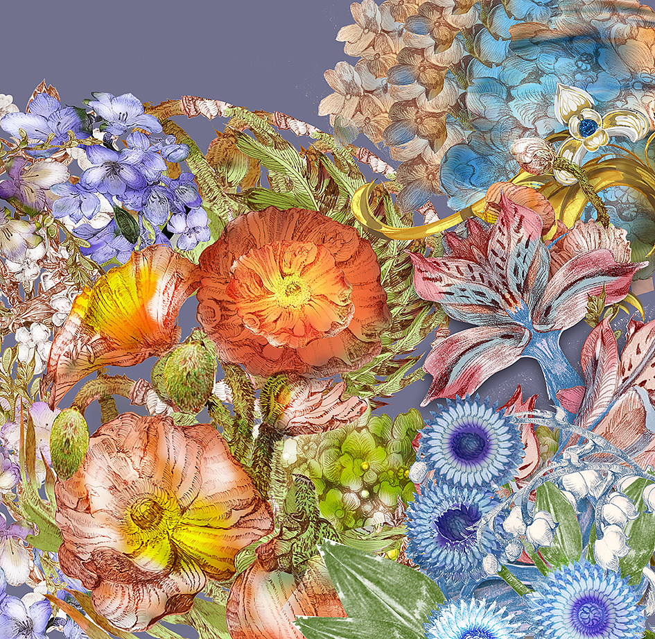 花卉包装之虞美人与小苍兰