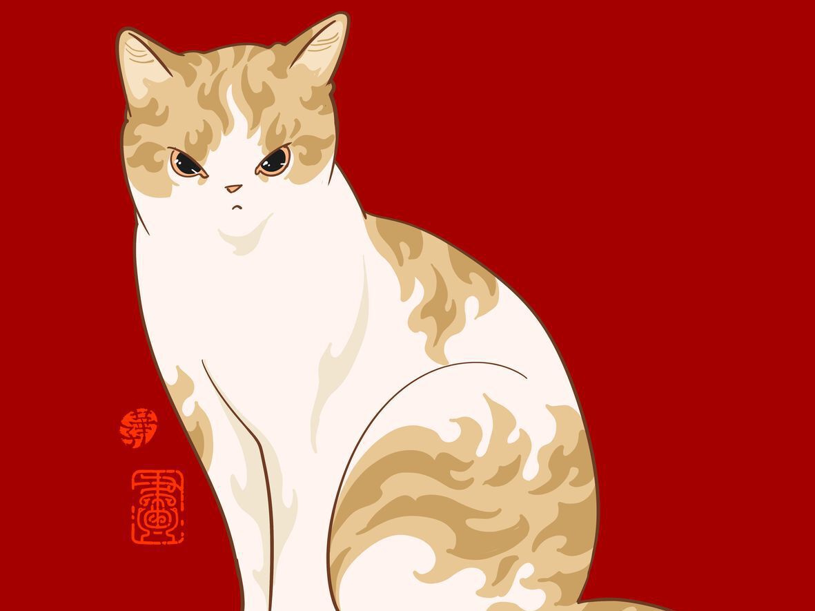抱猫的女孩|插画|商业插画|喵君imiko - 原创作品 - 站酷 (ZCOOL)