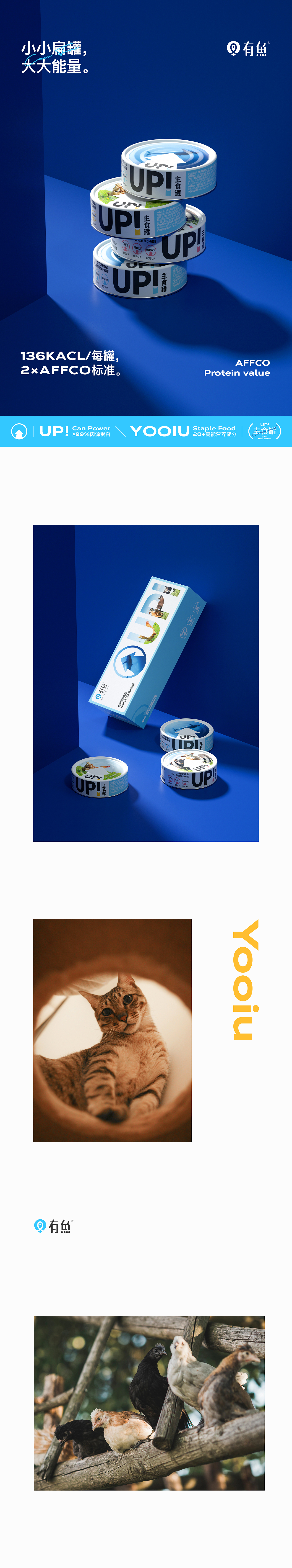 UP!主食罐 | 真鲜主食罐详情视觉分享