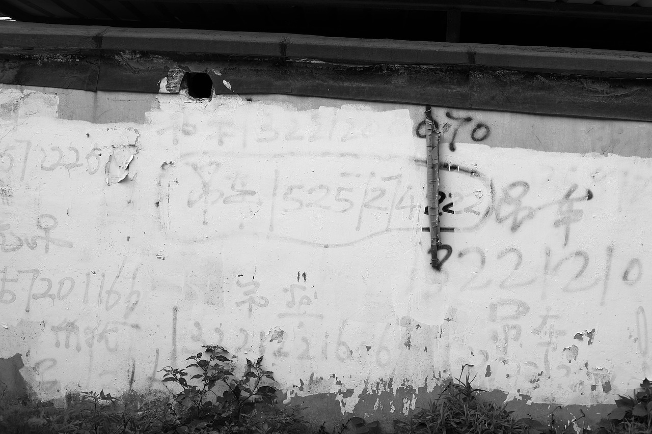 Summer Vibe（图ZMzQzMTg5NDk2） - 人文/纪实摄影 - 站酷设计师木里MULI原创素材 - 站酷ZCOOL