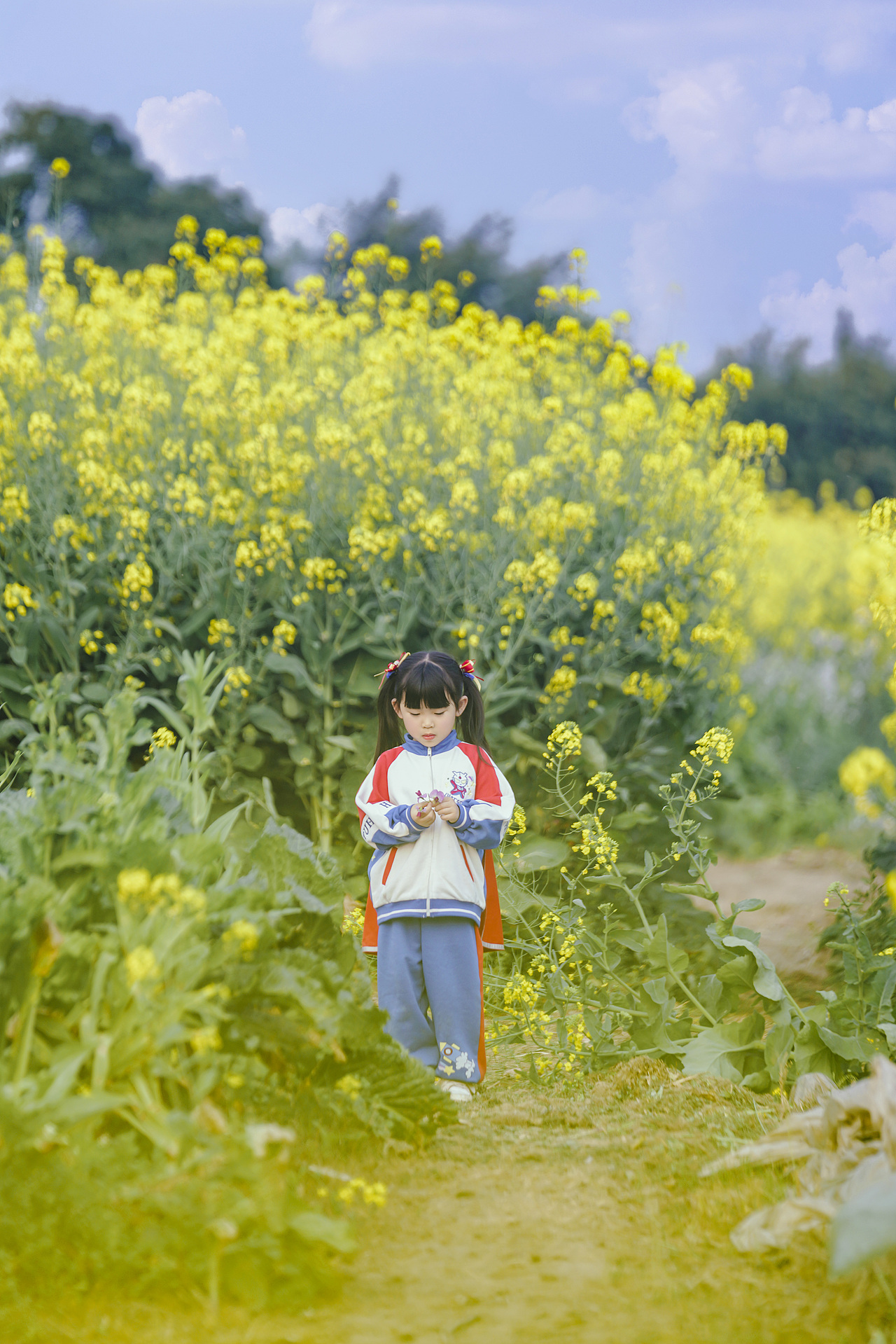 花开满山坡（图ZMzY1NTMyNTQw） - 人像摄影 - 站酷设计师有田人家原创素材 - 站酷ZCOOL