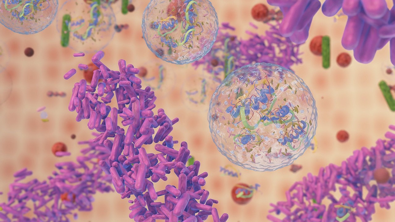 包裹抑菌肽原理演示