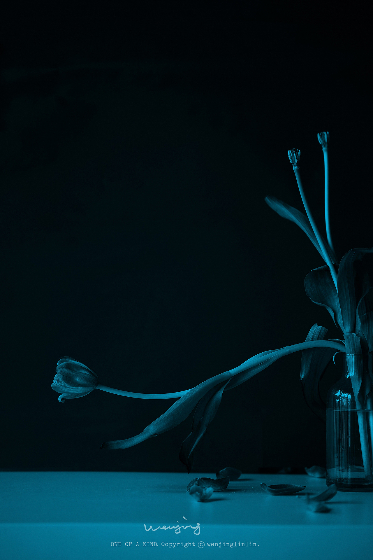 深入陪伴一朵花。