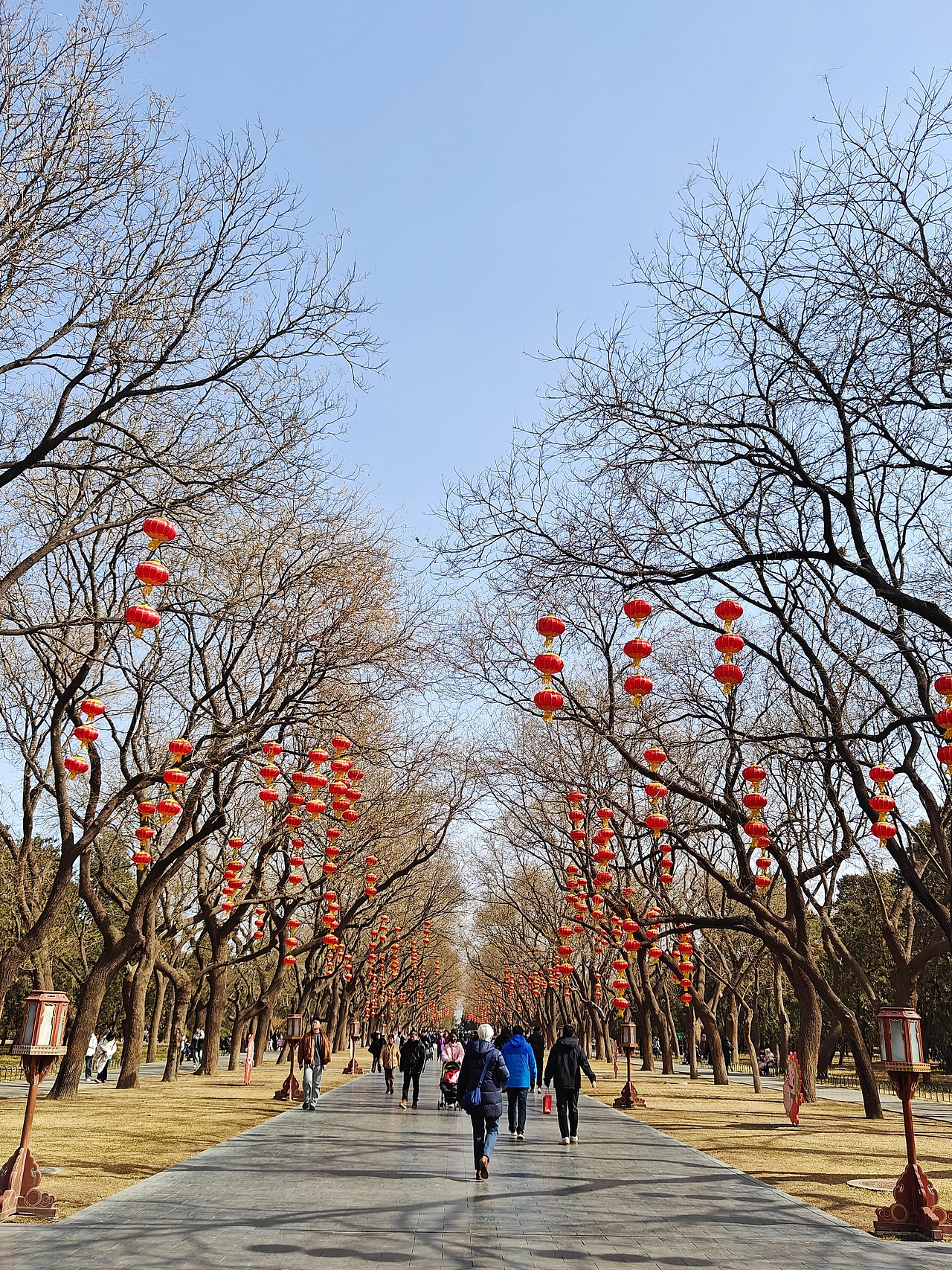 北京天坛（图ZMzY0MTQxOTMy） - 环境/建筑摄影 - 站酷设计师我是个个呀原创素材 - 站酷ZCOOL