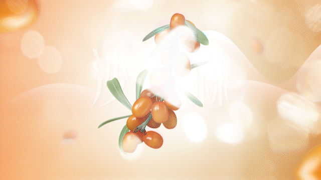 完美沙棘茶產(chǎn)品系列MG動(dòng)畫(huà)（圖ZMzU4MDM1NDA4） - Motion Graphic - 站酷設(shè)計(jì)師黑豆blackbean原創(chuàng)素材 - 站酷ZCOOL