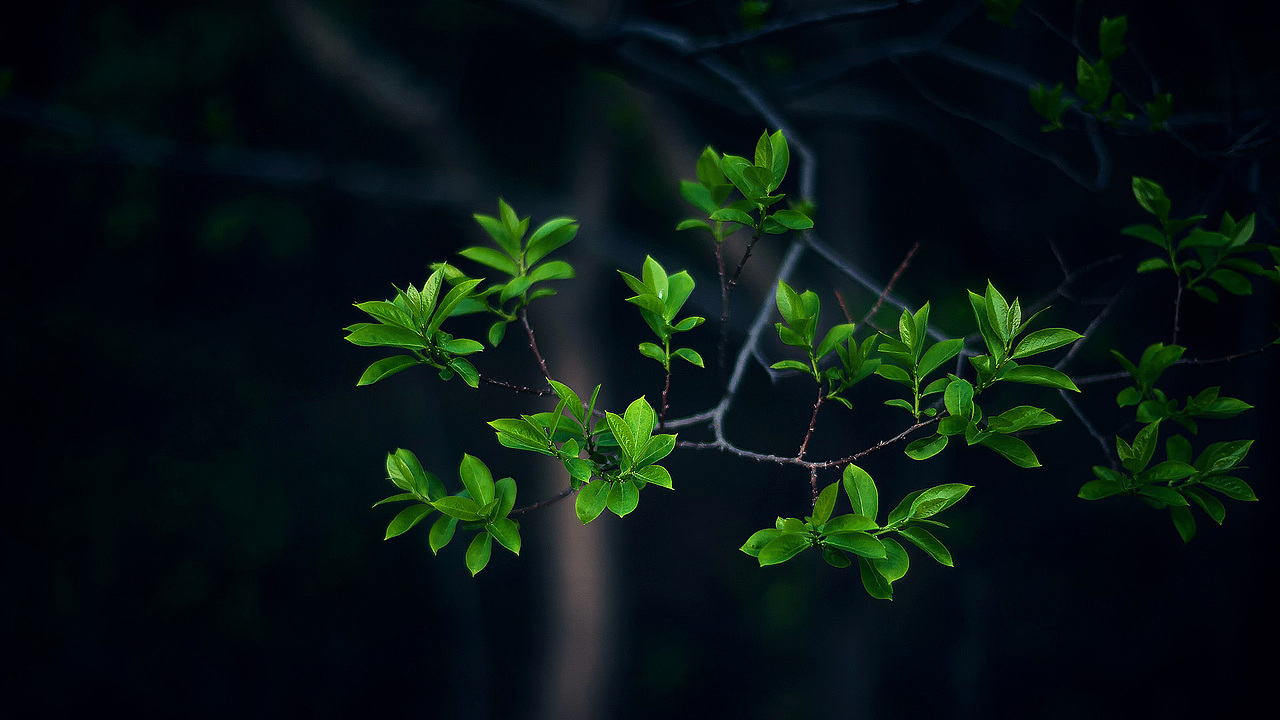 16:9和18:9（图ZMzIzNDQ0MjA0） - 风光摄影 - 站酷设计师amhx原创素材 - 站酷ZCOOL