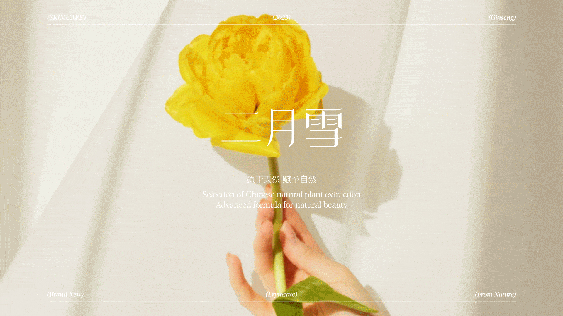 有感觉&二月雪 ｜ 护肤品品牌设计（图ZMzQyOTQ4Nzcy） - 品牌 - 站酷设计师有感觉设计原创素材 - 站酷ZCOOL