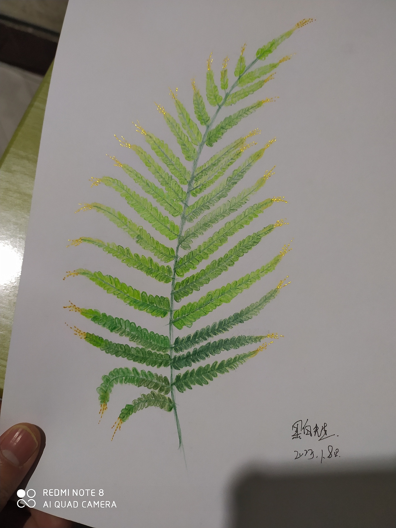 彩铅练习（图ZMzI4MDk1MjA4） - 创作习作 - 站酷设计师黑面原创素材 - 站酷ZCOOL