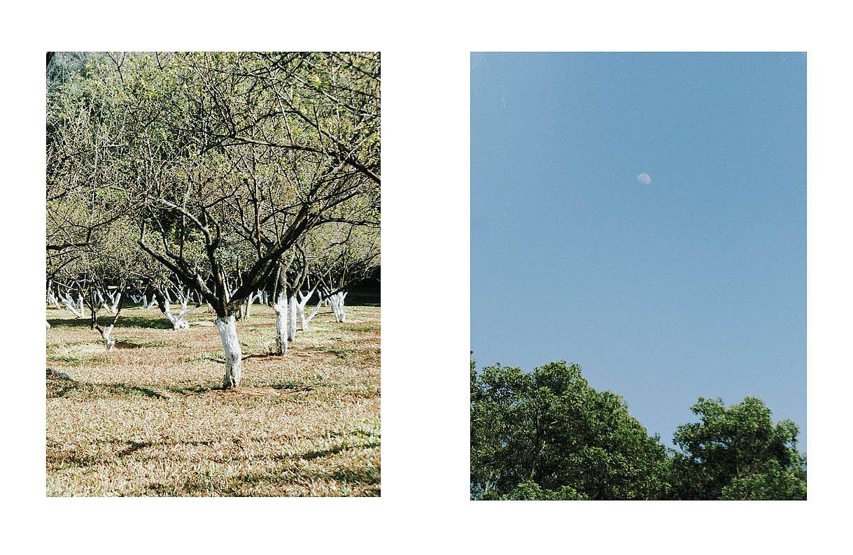 设计练习-摄影集排版