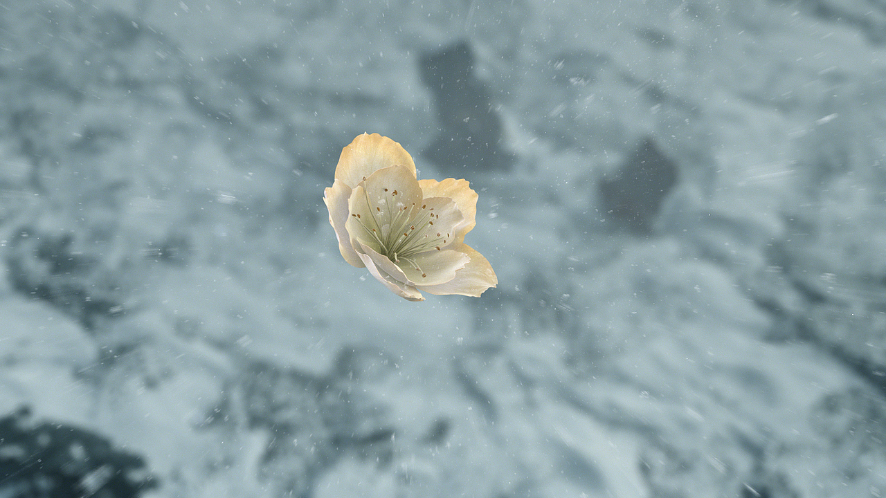 心系天下三星W23 | W23 Flip 15秒抢先版