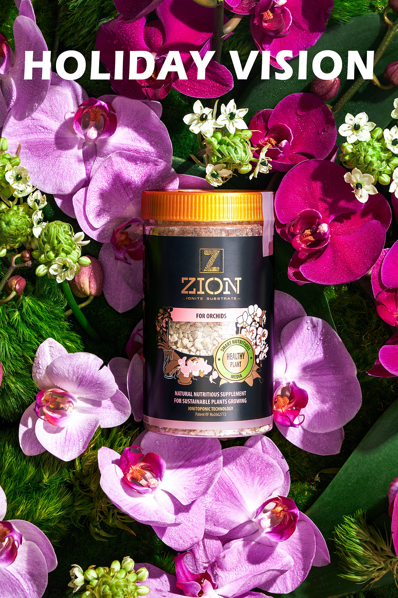 平面摄影 | ZION的秘密花园