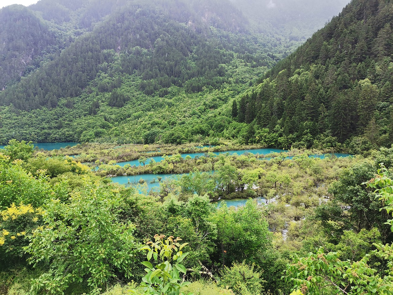 五彩缤纷九寨沟(下)
