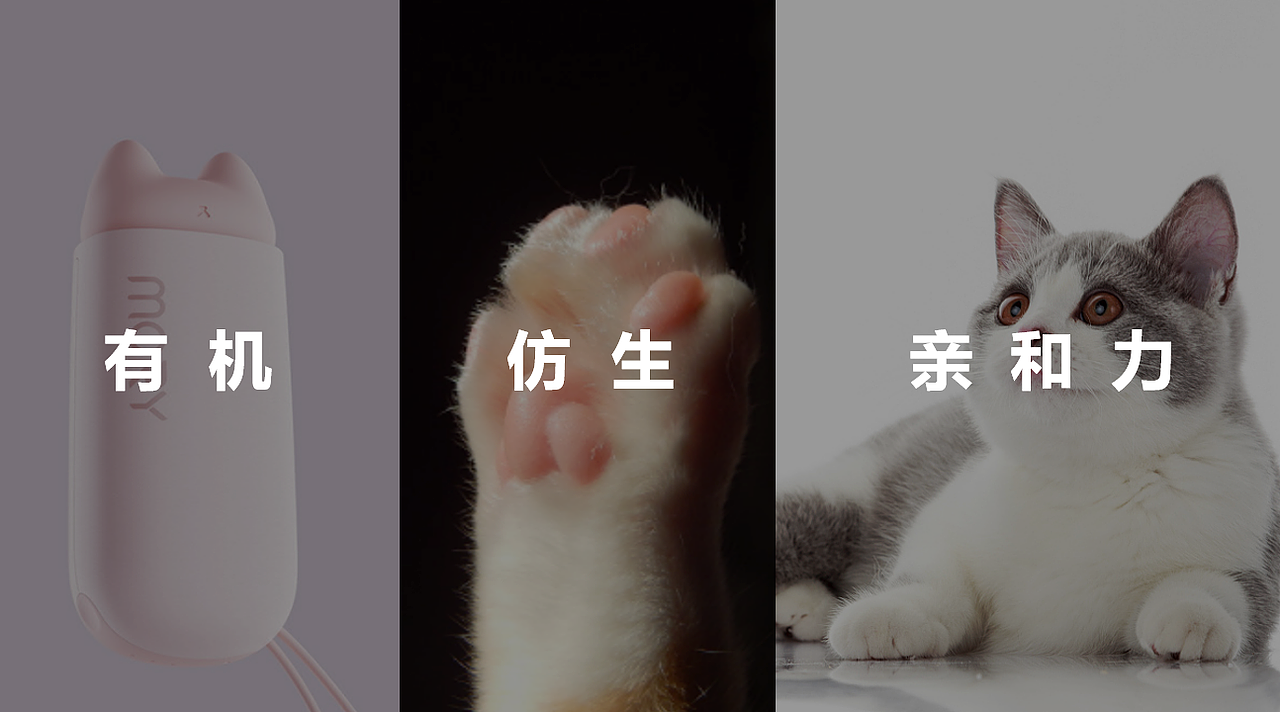 宠物自洁梳产品外观设计