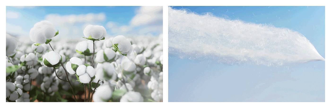 袜子全案策划设计,品牌战略新视觉 超级全案设计