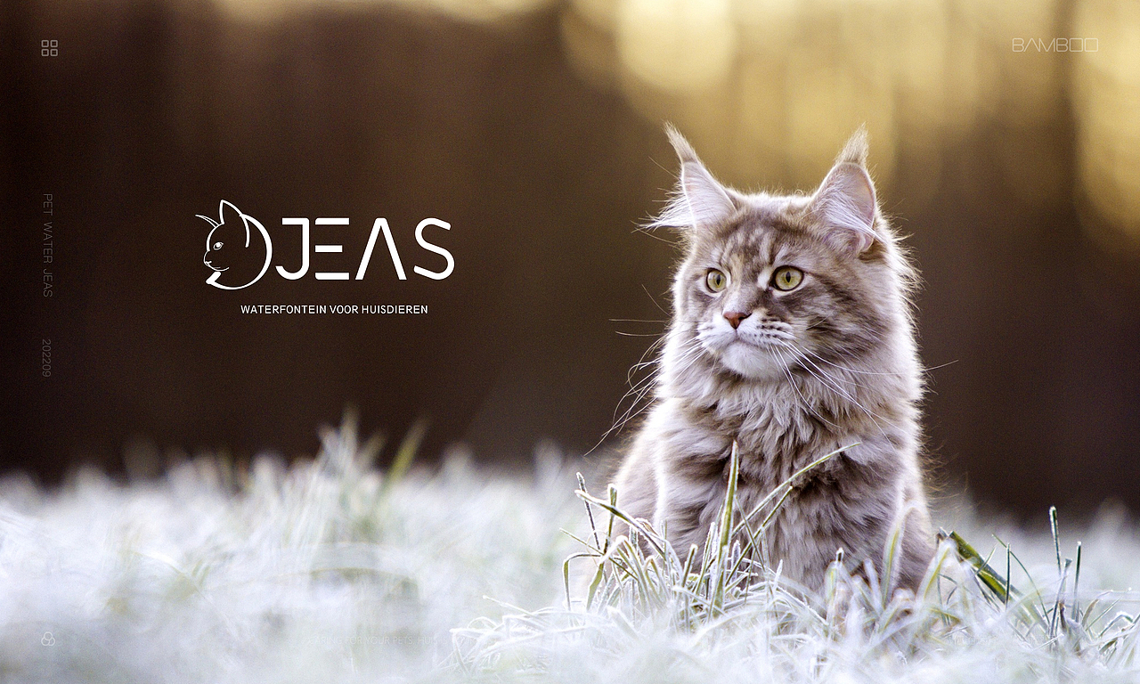 宠物LOGO品牌-全案设计（图ZMzE3NDgwNDIw） - 品牌 - 站酷设计师三根竹子原创素材 - 站酷ZCOOL