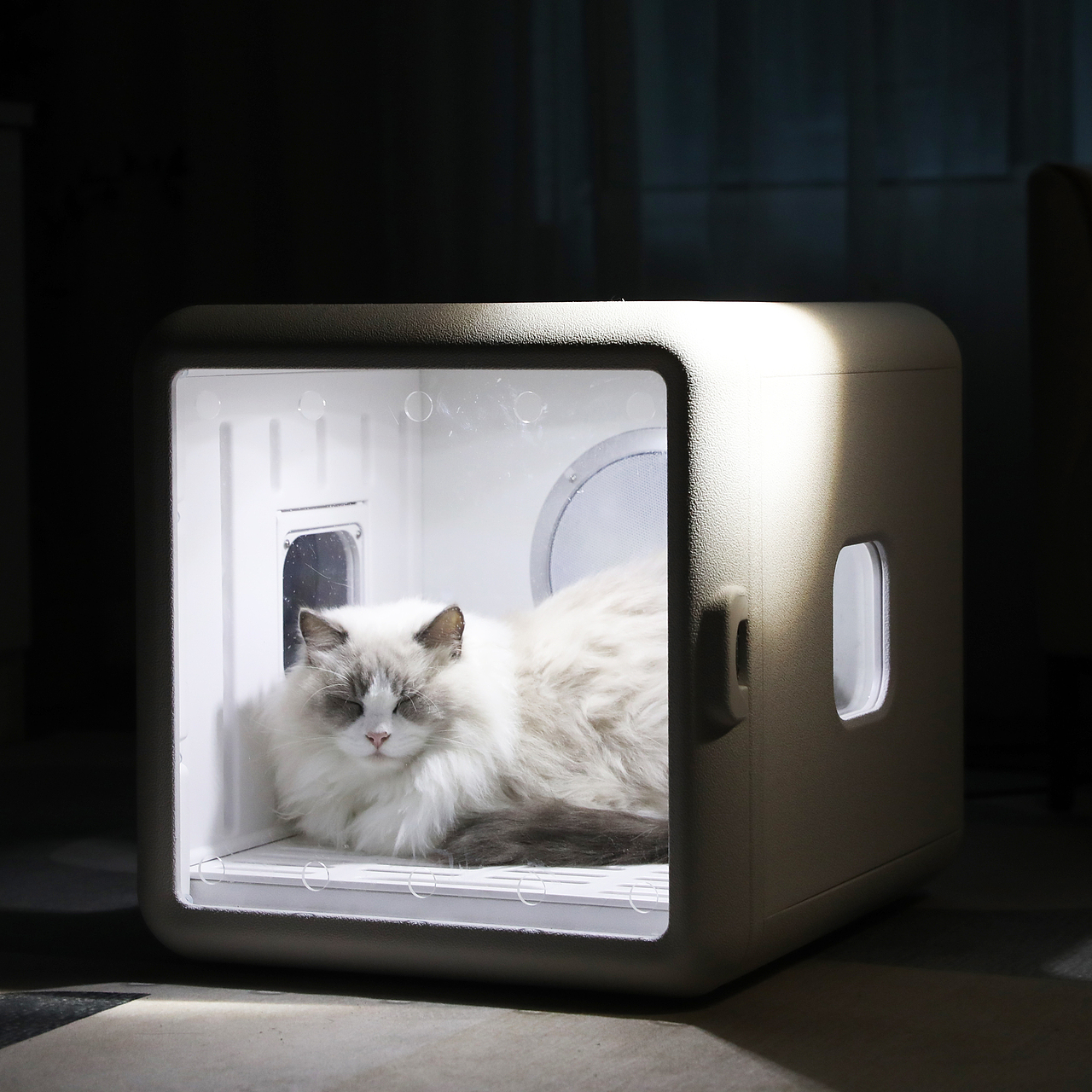 电器产品摄影宠物吹毛机主图视频拍摄亚马逊详情设计产