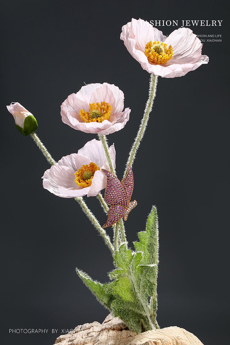 电商首饰拍摄  蝴蝶胸针  胸针场景图 彩色 钻石胸针