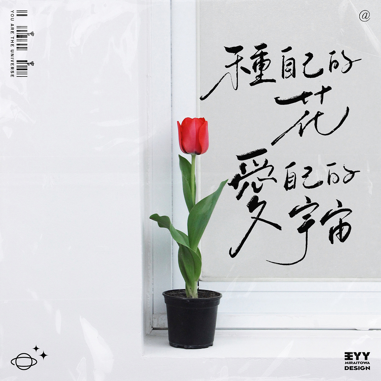 手写字与色彩的邂逅④ 紫+白