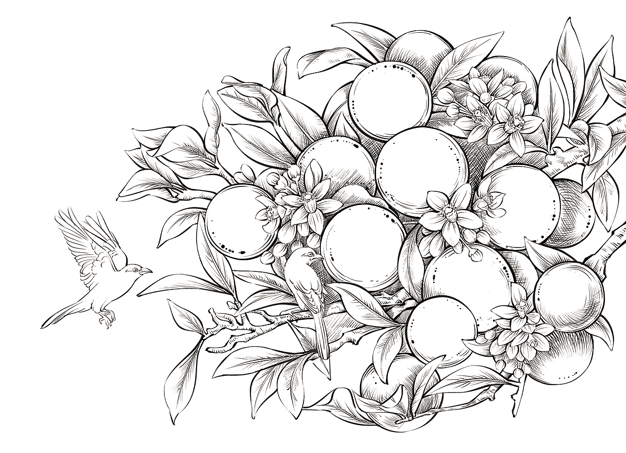 心想事橙（图ZMzAxNzE2MjY4） - 商业插画 - 站酷设计师桃林子原创素材 - 站酷ZCOOL