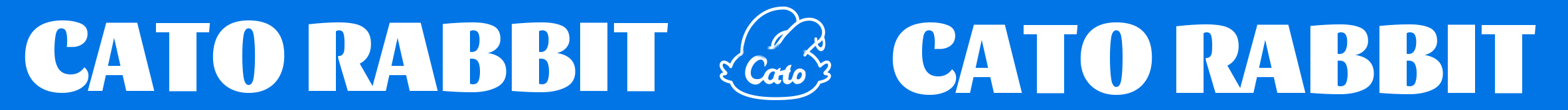 【IP形象設(shè)計(jì)】CATO RABBIT-卡托兔（圖ZMzQyMjE3NDg0） - IP形象 - 站酷設(shè)計(jì)師丹琦原創(chuàng)素材 - 站酷ZCOOL