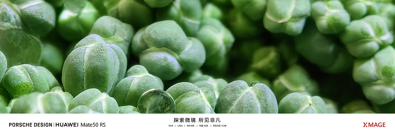 华为 Mate 50 系列及全场景新品秋季发布会