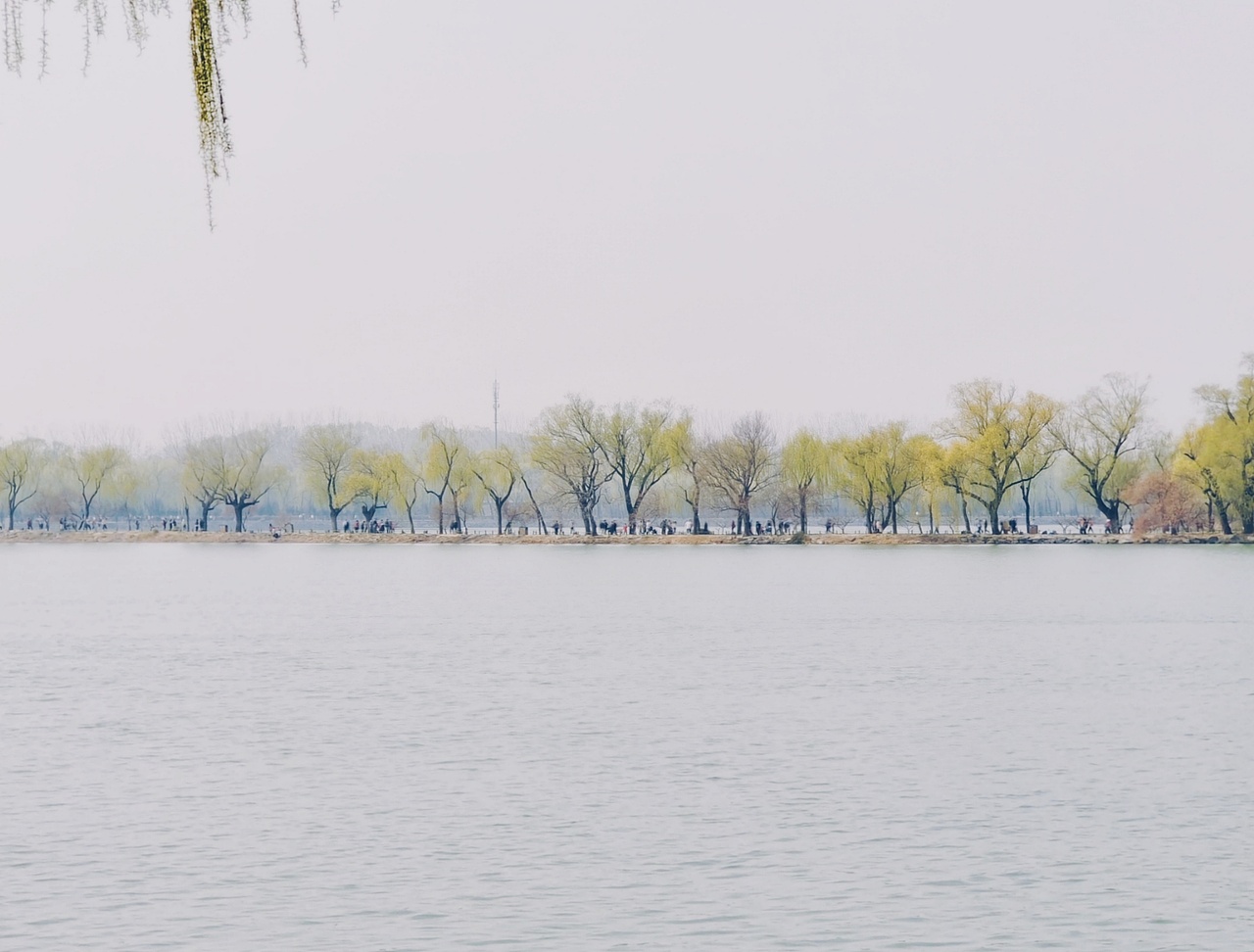 春风着淡彩（图ZMzY2MzU1NTQ0） - 风光摄影 - 站酷设计师新心新灵原创素材 - 站酷ZCOOL