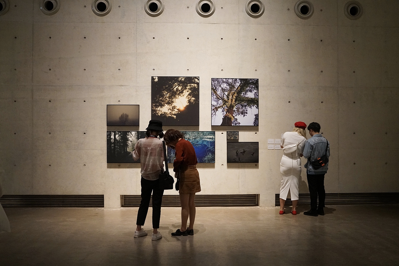 谢子龙影像艺术馆（图ZMjk2NTQwMzEy） - 环境/建筑摄影 - 站酷设计师君不见1026原创素材 - 站酷ZCOOL