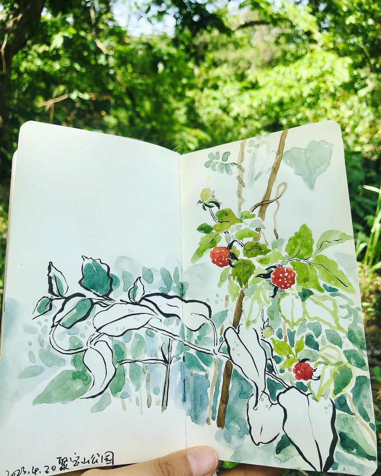 最近的画儿（图ZMzQyMTYxMjUy） - 创作习作 - 站酷设计师七叶树的速写本原创素材 - 站酷ZCOOL