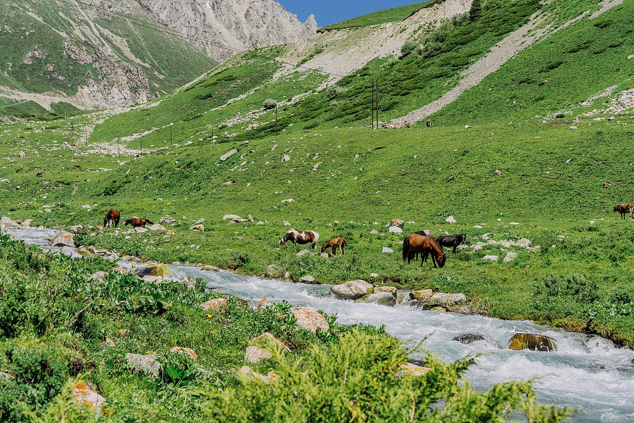 七月新疆（图ZMzU5NjI4NTg0） - 风光摄影 - 站酷设计师四月逢野原创素材 - 站酷ZCOOL