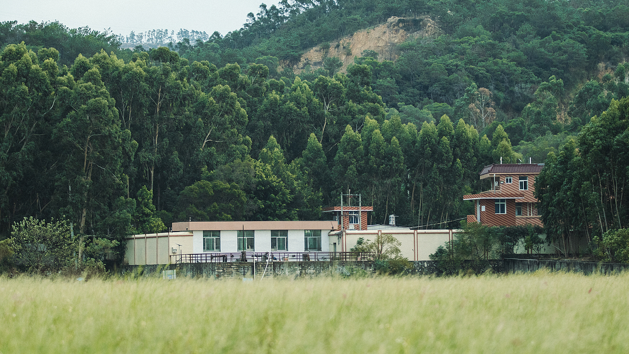 我们去草原的湖边