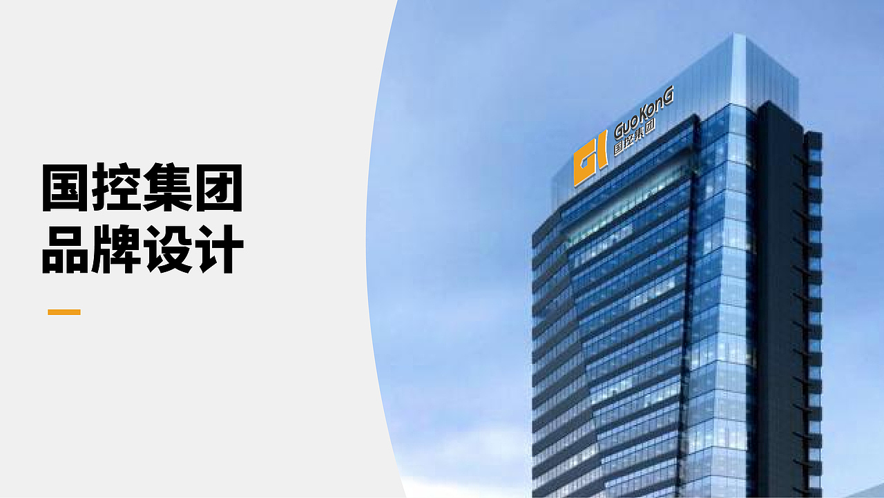 国控集团品牌设计(飞机稿)