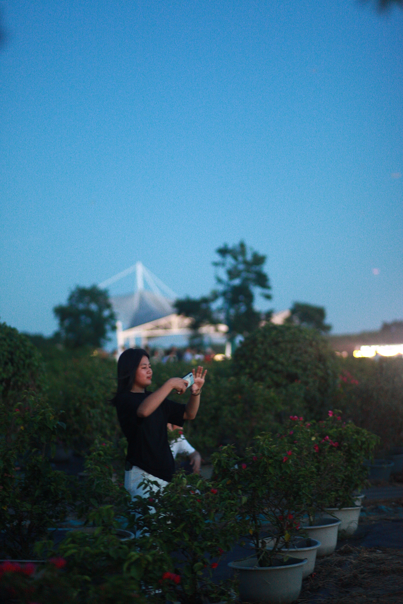 中山横栏西江/古镇湿地公园（图ZMzUxMDQzNTMy） - 人像摄影 - 站酷设计师村八里原创素材 - 站酷ZCOOL